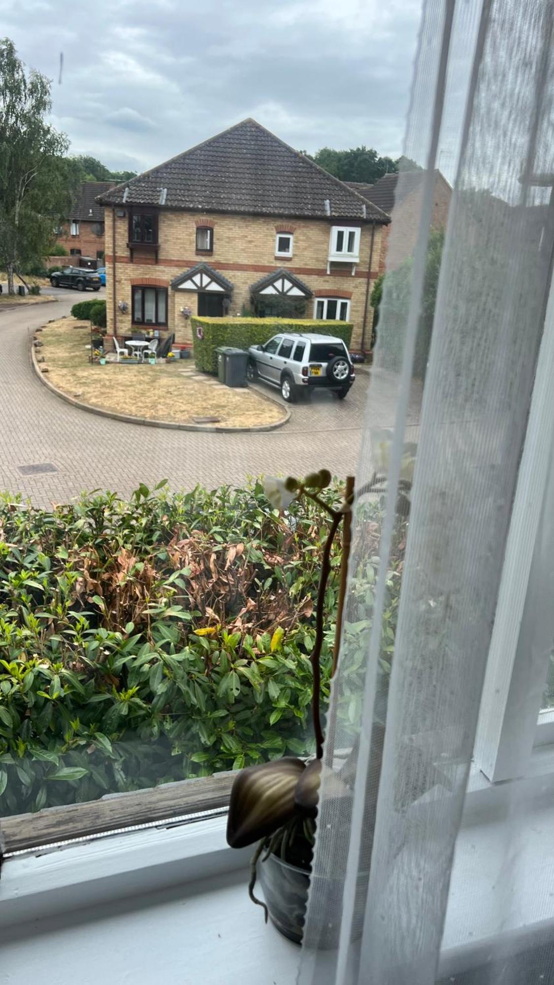 Beautiful Apartment In Guildford With Parking Send 외부 사진